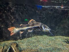 -太平洋海底世界