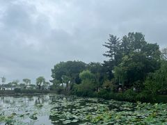 -无锡蠡湖国家湿地公园-蠡园