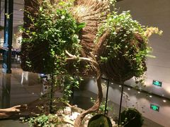 -博林天瑞喜来登酒店·西丽尚膳