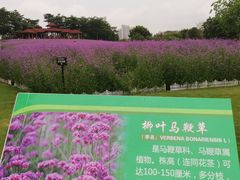-厦门园林博览苑