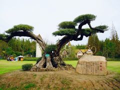 -东平国家森林公园