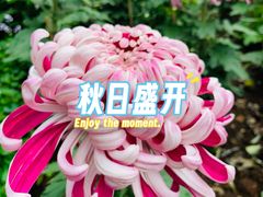 -汇龙潭