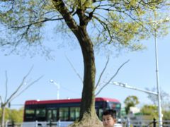 -上海欢乐谷-停车场