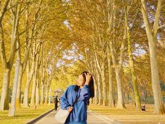 -河南省黄河迎宾馆