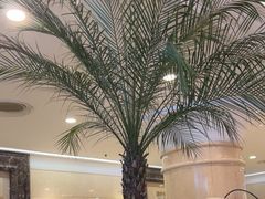 -逸派咖啡 EPARKCOFFEE(广安门店)