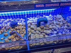 -五月罗马海鲜烤肉自助餐厅(印象城店)