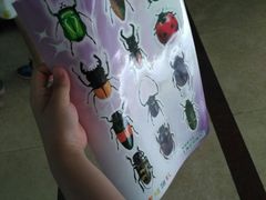 -上海昆虫博物馆