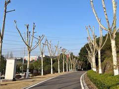 -重庆园博园