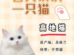 -翊宠yipet猫狗购宠庄园犬舍•猫舍
