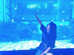 -鲨鱼餐厅.海景川粤餐厅(重庆天地店)