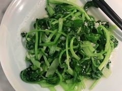 清炒茼蒿-雀蓝川菜(奥体广场店)