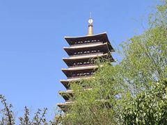 -牛首山文化旅游区