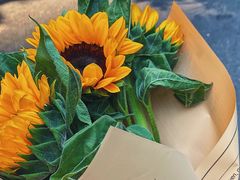 -循礼门鲜花花市(武汉循礼门店)