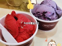 -哈根达斯(石家庄北国店)