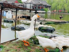 -大明幻境第一城