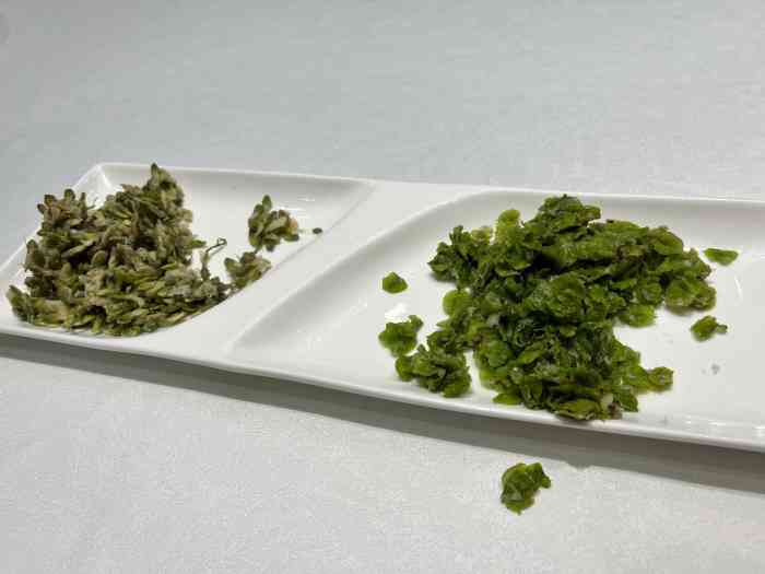 祥记金鲍堂(金鲍堂万寿路店)-"[薄荷]环境:就在万寿路口北的万寿宾馆