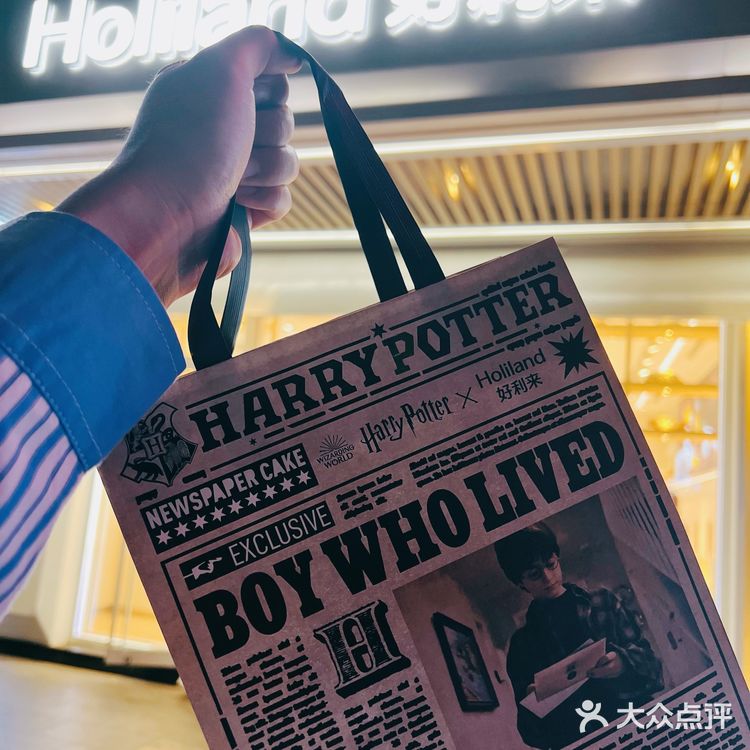 新品官宣❗️哈利波特·海格蛋糕✖️联名｜好利来年度之作🌟