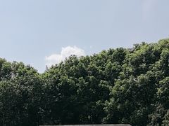 -池州市平天湖风景区