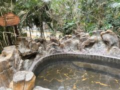 -龙达温泉生态城
