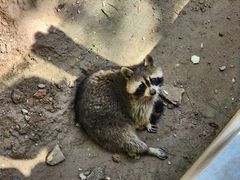 -青藏高原野生动物园