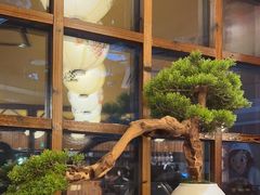 -鸟鹏烧鸟居酒屋(仁恒梦中心店)