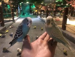 -酷嗒动物文化乐园(cutezoo西溪乐天城店)