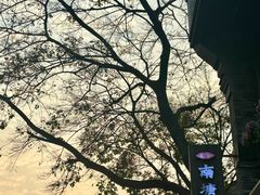 -南塘油赞子(南塘店)