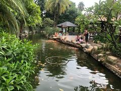 -厦门日月谷温泉渡假村