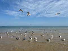 -那香海钻石沙滩浴场