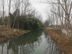 -桤木河湿地公园