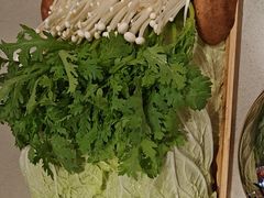 -蝎王府羊蝎子(西直门店)