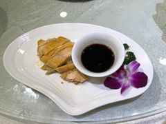 -梅龙镇酒家(南京西路总店)