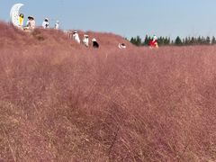 -嘉北郊野公园
