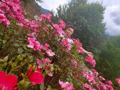 -镇坪县曙坪小学