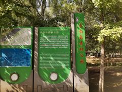 -长白岛森林公园