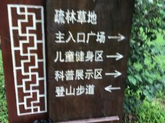 -王借岗森林公园