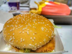 -米兰马尔彭萨国际机场