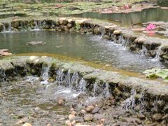 CIMG0283-三亚亚龙湾凯莱仙人掌度假酒店