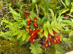 -国家植物园南园