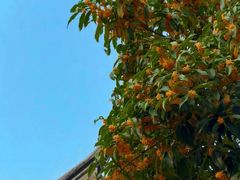 -宁波市保国寺古建筑博物馆