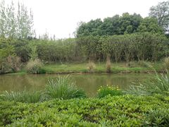 -白鹭湾湿地公园