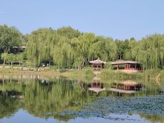 -北坞公园