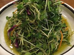糖醋萝卜苗-隆喜元鱼汤包·海鲜(中联广场店)