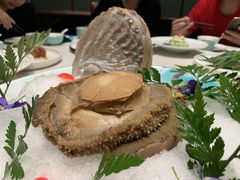 -蝶园·装修中(BFC外滩金融中心店)