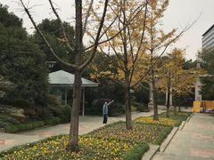 -杭州半山国家森林公园