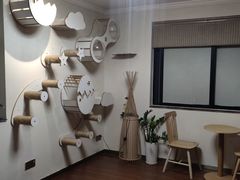 -楼上猫咖(罗湖店)