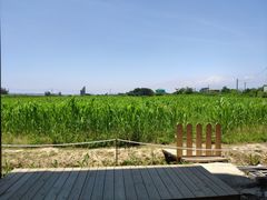 -鹿境梅花鹿生态园区