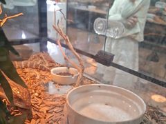 -青石桥花鸟鱼虫市场(叠翠城店)