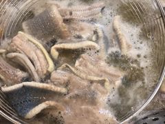 -荔城生鲜盛宴(番禺旗舰店)