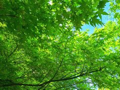 -共青国家森林公园-售票处